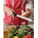 Microplane Premium Classic Ribbon Grater