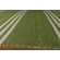 Momeni Veranda Lime  Rug