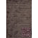 Foreign Accents Urban Gallery Twilight Rug
