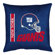 Sports Coverage Inc. NFL Toss Pillow