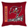 Sports Coverage Inc. NFL Toss Pillow