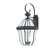 Quoizel Sussex Outdoor Wall Lantern