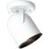 Progress Lighting 75w Round Back Directional Ceiling Semi Flush Moun