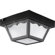 Progress Lighting Outdoor Flush Mount in Black - Energy Star