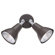 Thomas Lighting Outdoor Spotlight in Painted Bronze