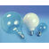 Sylvania Decor G25 25 Watt 120 V Incandescent Bulb in Soft White