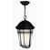 Hinkley Lighting Buckley Outdoor Hanging Lantern