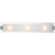Access Lighting  Vanity Light with Frosted Glass in Brushed Steel