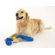 Doggles Tails Dog Toy in Green