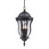 Savoy House Monticella  Outdoor Hanging Lantern in Black