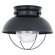 Sea Gull Lighting Sebring Outdoor Flush Mount in Black