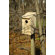 Heartwood Screech Owl Bird House