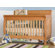 DaVinci Kalani 4-in-1 Convertible Crib with Toddler Rail in Honey Oak