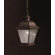 Kichler Mount Vernon  Outdoor Ceiling Pendant in Old Bronze