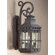 Troy Lighting Dover  Dark Sky Wall Lantern in Natural Bronze