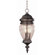 TransGlobe Lighting Outdoor 21.75"  Hanging Lantern