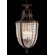 Zaneen Lighting Longas Nine Light Traditional Pendant in Oxidate Bronze
