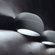 Zaneen Lighting Loop Wall Sconce