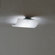 Zaneen Lighting Tecla Flush Mount/Wall Sconce in Matte Nickel