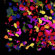 Joy Carpets Just for Kids Kid Essentials Splatter Paint Kids Rug