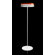 Kundalini Toric Floor Lamp