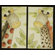 Cotton Tale Sumba Wall Art (2 Piece)