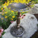 Oakland Living Rose Bird Bath