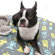 Molly Mutt Mr. Roboto Round Dog Duvet