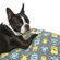 Molly Mutt Mr. Roboto Round Dog Duvet