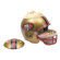 Wincraft, Inc. NFL Snack Helmet
