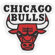 National Emblem NBA Team Logo Patch