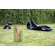 Bio-Blaze Outdoor Pipes Fire Columns