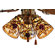 Meyda Tiffany Tiffany Jeweled Grape Fan Light Shade