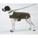 Filson Dog Leash in Brown