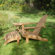 Jewels of Java Adirondack Chair
