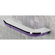 Gedy by Nameeks Bijou Toilet Paper Holder