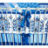 Caden Lane Preston Crib Bedding Collection