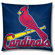 Northwest Co. MLB Square Pillow