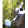 Blomus Aguo Watering Can