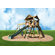 Playtime Swing Sets Stockbridge Swing Set