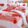 Le Vele Valentine Duvet Cover Bedding Set