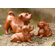 Novica 'Mother and Puppies' Statuettes (Set of 3)