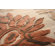 nuLOOM Veranda Flowered Sand/Brown Rug