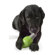 Planet Dog Orbee Tuff Bulb Dog Toy with Treat Spot in Green