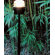 Oluce Fresnel 35.4" Floor Lamp