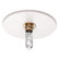WAC Lighting Recessed Beauty Spot Trim and Lamp