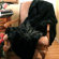 Posh Pelts Black Bear Faux Fur Throw Blanket with Burgundy Velvet-Velour Lining