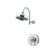 Price Pfister Ashfield Volume Control Shower Faucet