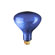 Bulbrite Industries 75W Plant Grow R30 Reflector Bulb