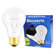 Bulbrite Industries 100W Long Life General Service Standard A19 Incandescent Bulb in Clear (Pack of 2)